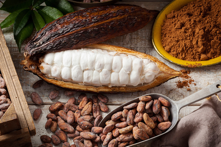 ARB Apex Bank Collaborates With Licensed Cocoa Buying Companies